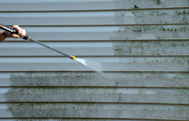 Best Roof Power Washing Services  in Bensville, MD